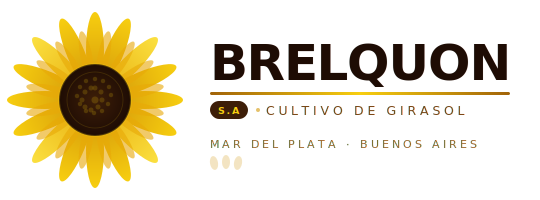 BRELQUON S.A
